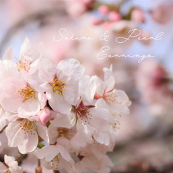 桜のピアスと選べるネックレス セット ピンク 春 桜 入学 卒業 セレモニー フォーマル　送料無料 2枚目の画像