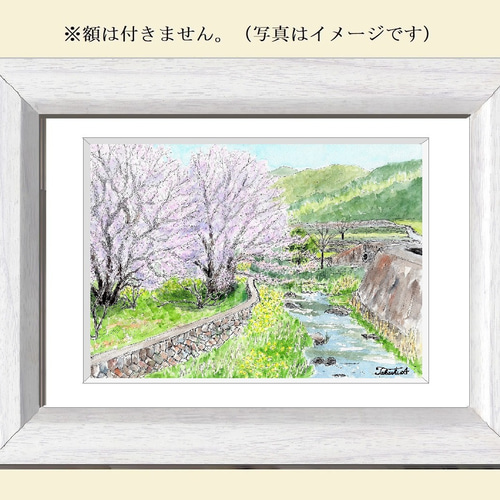 水彩アート「夏野菜　Ⅱ」1点物、手描き、真筆。 水彩アート「夏野菜 涼」手描き原画、1点物。送料無料