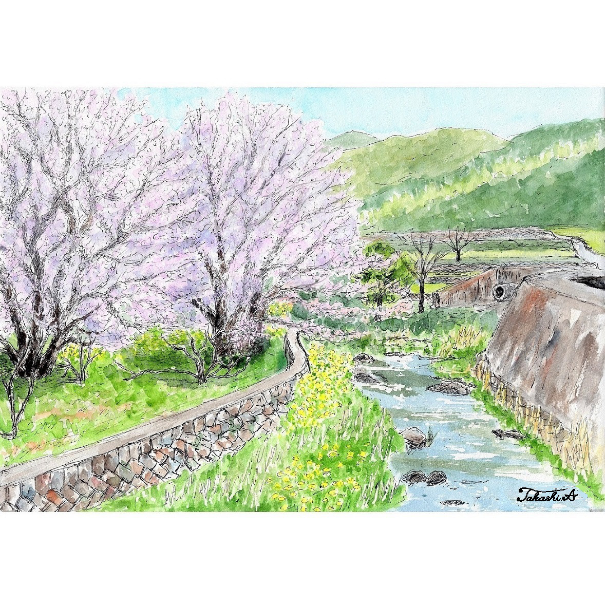 水彩画原画 桜堤と菜の花 | syoumei ｜インテリア絵画 アートの