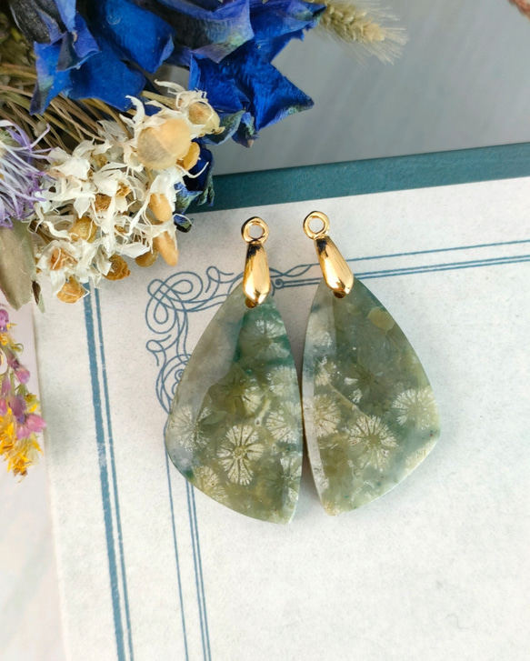 専用】グリーンフォッシルコーラル 2-3.5億年前の有機宝石 耳飾り