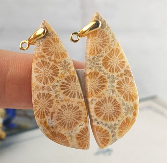 ひまわりフォッシルコーラル レクタングルピアス ひまわりフォッシルコーラル レクタングルピアス