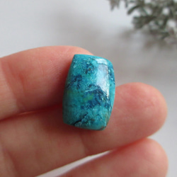 ⭐︎天然石⭐︎超レア⭐︎シャッタカイト⭐︎パーム⭐︎ 23fa8449381ca7b3ef334da576371b