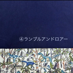 柄が選べる体操服入れ《リバティ》 6枚目の画像