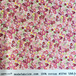 NEW  fabrics GALAVANTING GARDEN/CAMEO 33476-14 CHELSHE GARDE 9枚目の画像