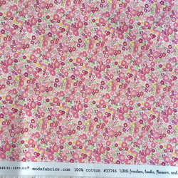 NEW  fabrics GALAVANTING GARDEN/CAMEO 33476-14 CHELSHE GARDE 7枚目の画像