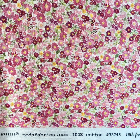 NEW  fabrics GALAVANTING GARDEN/CAMEO 33476-14 CHELSHE GARDE 1枚目の画像