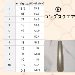 測定用チップ 8枚目の画像