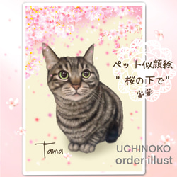 ペット似顔絵　背景“ 桜の下で " 猫　犬　オーダーメイドイラスト　UCHINOKO 1枚目の画像