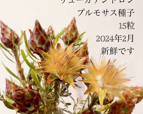 a7a713c527c490560c6b1b487487d6