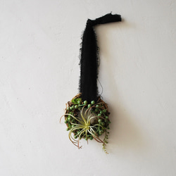 Wherever：art mini wreath グリーンネックレスとエアプランツ/ フラワーリース 2枚目の画像