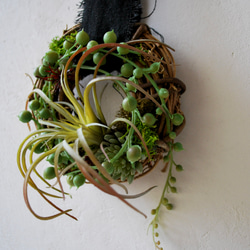 Wherever：art mini wreath グリーンネックレスとエアプランツ/ フラワーリース 7枚目の画像