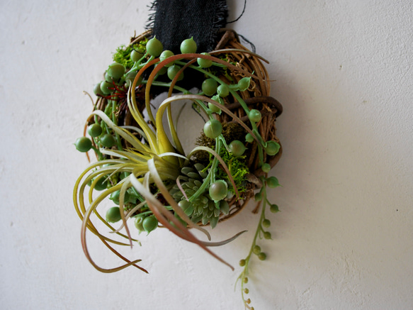Wherever：art mini wreath グリーンネックレスとエアプランツ/ フラワーリース 7枚目の画像