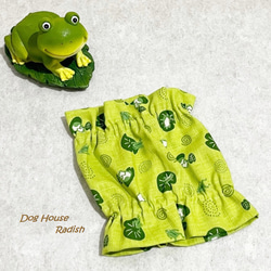 【NEW】 スヌード 小さなカエル 【黄緑】 たれ耳わんこ  ドッグウェア 犬服 小型犬 蛙 かえる 1枚目の画像
