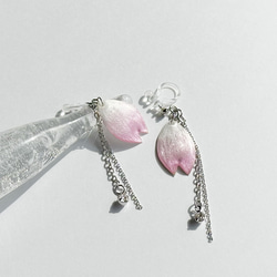 桜の花びらのピアス イヤリング 純銀胎七宝 1枚目の画像