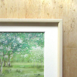 八重桜の咲く公園で（パステル画　原画　額付き　） 4枚目の画像