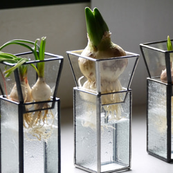ミニ盆栽鉢 クリアガラス 一輪挿し・花瓶・花器 CHAMA GLASS ミニ盆栽鉢 クリアガラス 一輪挿し・花瓶・花器 CHAMA GLASS