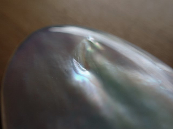 黑色珍珠母貝零件無孔變形水滴型 第7張的照片
