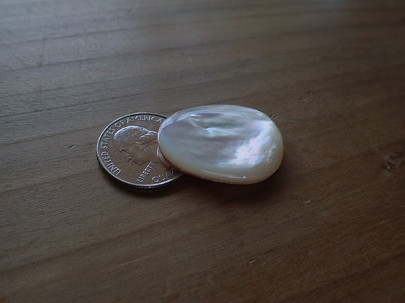 黑色珍珠母貝零件無孔變形水滴型 第1張的照片