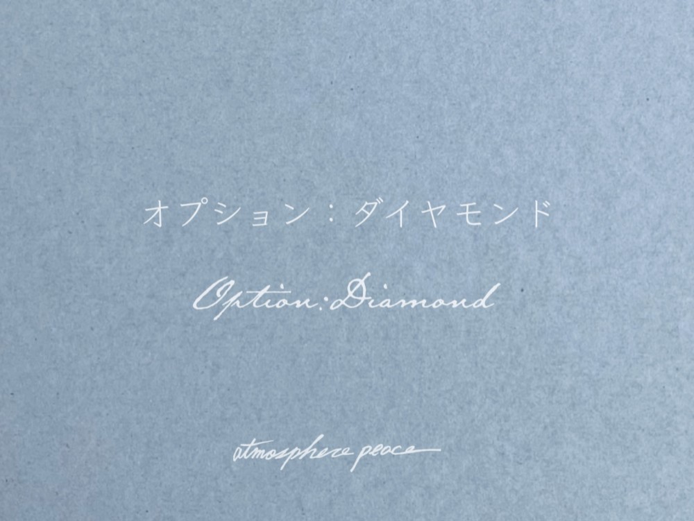 オプション： ダイヤモンド(1.3mm)