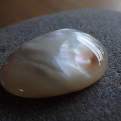 黑色珍珠貝母零件無孔水滴型 第6張的照片