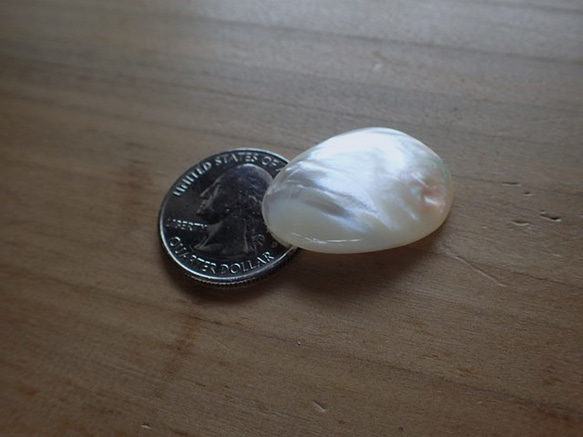 黑色珍珠貝母零件無孔水滴型 第1張的照片