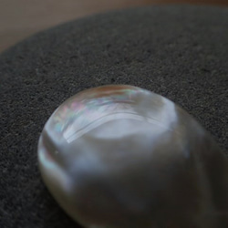 黑色珍珠貝母零件無孔水滴型 第4張的照片