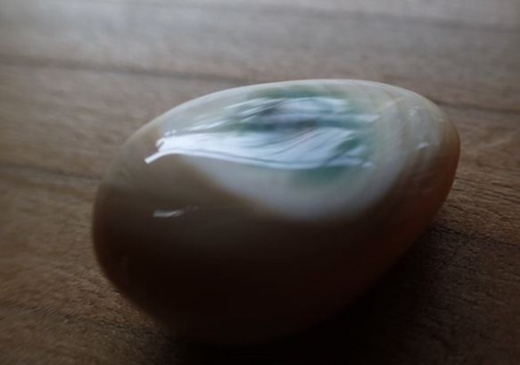 沖繩產夜光貝類，無孔部件，3D水滴型 第7張的照片