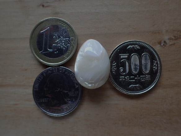 沖繩產夜光貝類，無孔部件，3D水滴型 第14張的照片