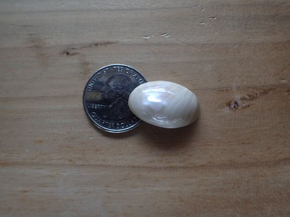 沖繩夜光貝殼，無孔零件，橢圓型，厚8.5毫米 第1張的照片
