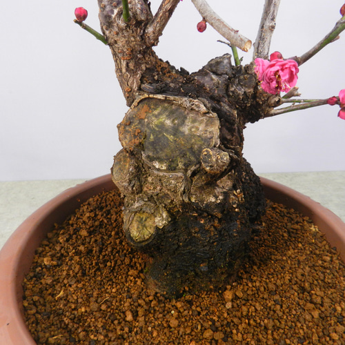 imgrc0134472173.jpg