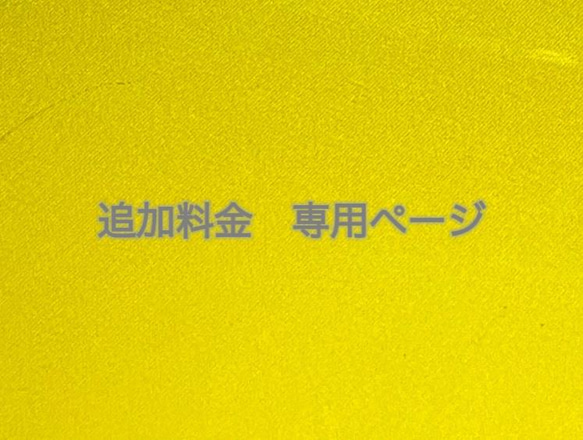 【オーダー品】追加料金⑥ 1枚目の画像