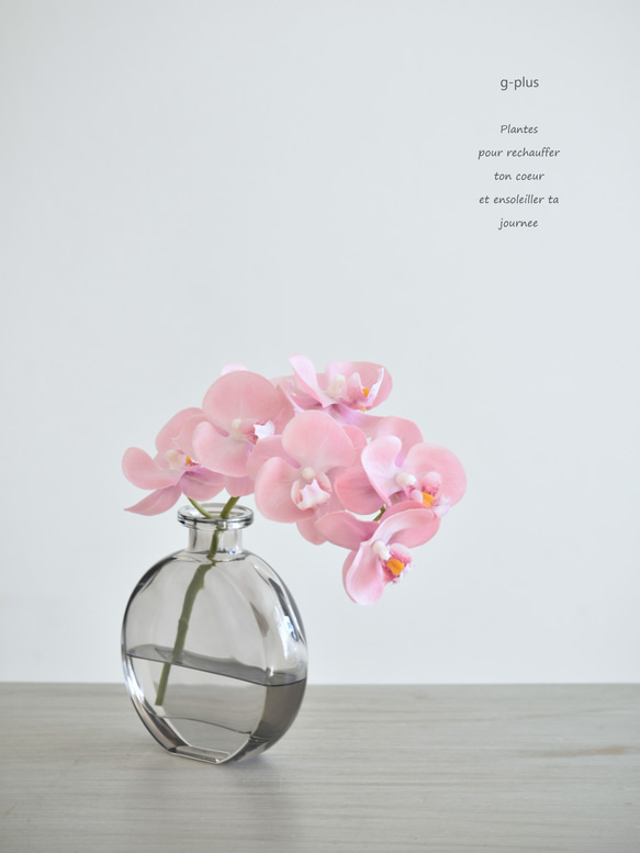咲き続けるコチョウラン(テンダーピンク＋グレーガラス)　マジカルウォーター　癒しのフラワーインテリア 1枚目の画像