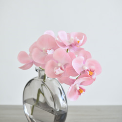 咲き続けるコチョウラン(テンダーピンク＋グレーガラス)　マジカルウォーター　癒しのフラワーインテリア 4枚目の画像
