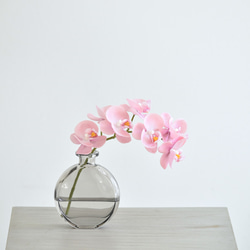 咲き続けるコチョウラン(テンダーピンク＋グレーガラス)　マジカルウォーター　癒しのフラワーインテリア 6枚目の画像