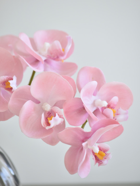 咲き続けるコチョウラン(テンダーピンク＋グレーガラス)　マジカルウォーター　癒しのフラワーインテリア 7枚目の画像