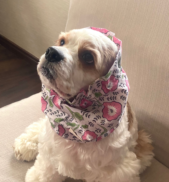アネモネ柄❤︎全2色　ピンク　犬用スヌード　中型犬用スヌード 1枚目の画像