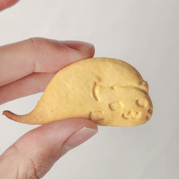 クッキー型【ネコツチノコ】三匹セット｜猫の日にピッタリ 8枚目の画像
