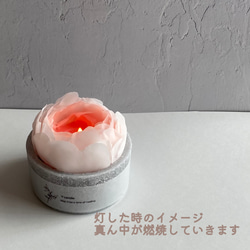 ✨flowercandle✨ラナンキュラス 4枚目の画像