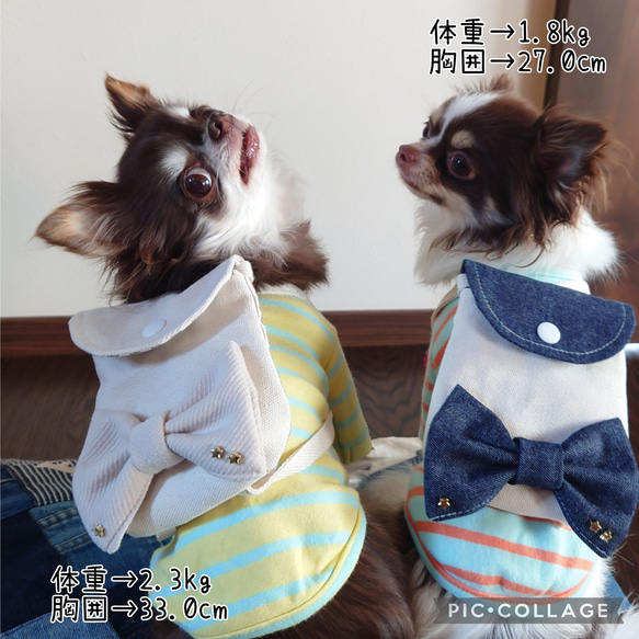 小型犬用 猫用 ♡ でかリボン ♡ お出かけリュック 2枚目の画像