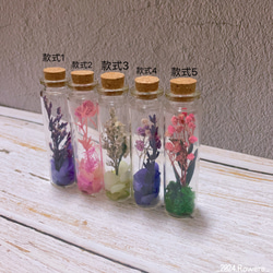2024.flowers 乾燥花玻璃許願瓶 乾燥花手作 小物 裝飾 送禮（買二送一隨機款） 第1張的照片