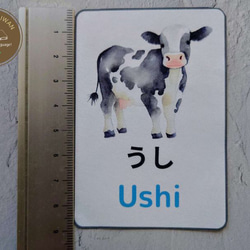 日本語学習・単語カード・可愛い動物24匹・ひらがな・ローマ字表記（PDFデータ）フラッシュカード 6枚目の画像