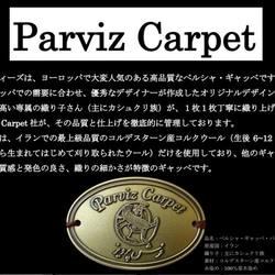 4月の超目玉品４０％OFF】ペルシャ ギャッベ　パルヴィーズ　コルクウール　カシュクリ　205x153cm 8枚目の画像