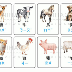 中国語学習・単語カード・可愛い動物24匹・繁体字・簡体字（PDFデータ）フラッシュカード 5枚目の画像