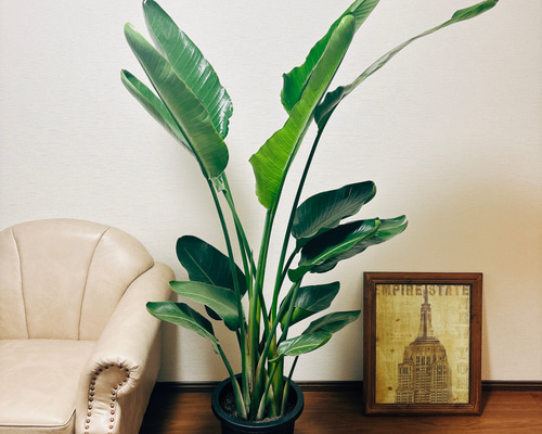 c38d1796cd82a9950e1f130bcb8676