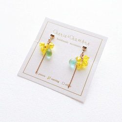 Mimosa Color Pierce/Earring 3枚目の画像