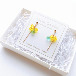Mimosa Color Pierce/Earring 6枚目の画像