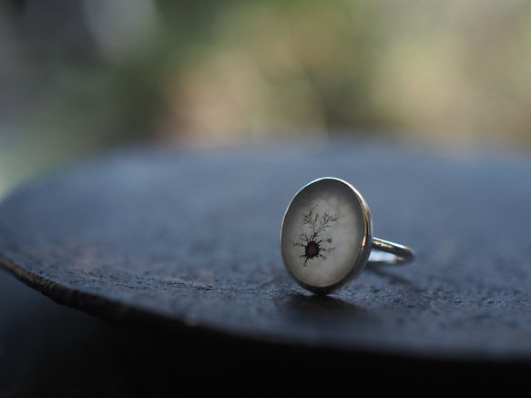 dendritic agate silver ring (mezasu) 10枚目の画像