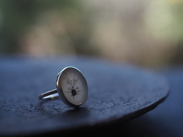 dendritic agate silver ring (mezasu) 11枚目の画像