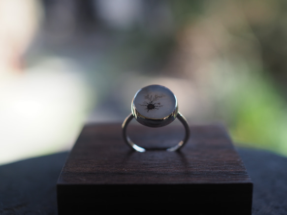 dendritic agate silver ring (mezasu) 6枚目の画像