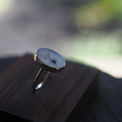 dendritic agate silver ring (mezasu) 8枚目の画像